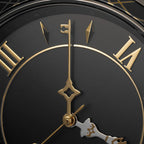 ステラソラ Original Maoh Model SS40BOSS Solar Limited Edition Wristwatch