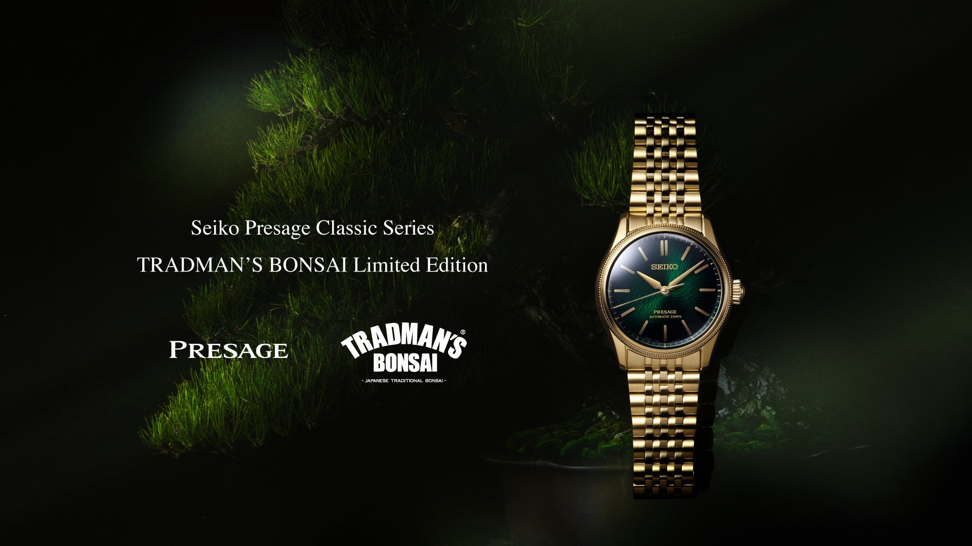 Seiko Presage x TRADMAN'S BONSAI HCC011J Black Pine Limited Edition Japanese Wristwatch