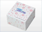 Tokimeki Memorial 30th Anniversary x Seiko Anime Collaboration Wristwatch Limited Edition- The Japanese Factory
