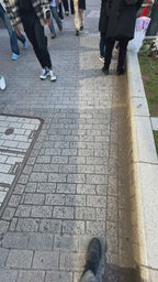 Casio Desk Clock DQD-851J-8JF - The Japanese Factory